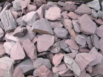 Canadian Slate rot Viola